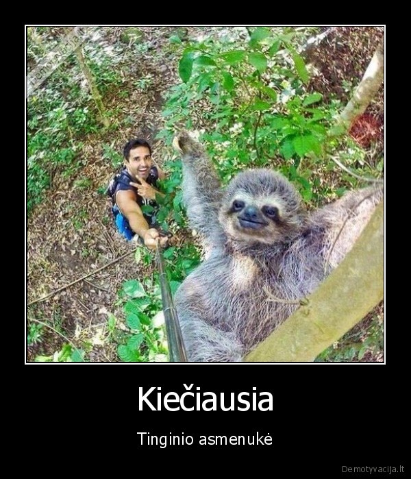 selfie,asmenuke,tinginys