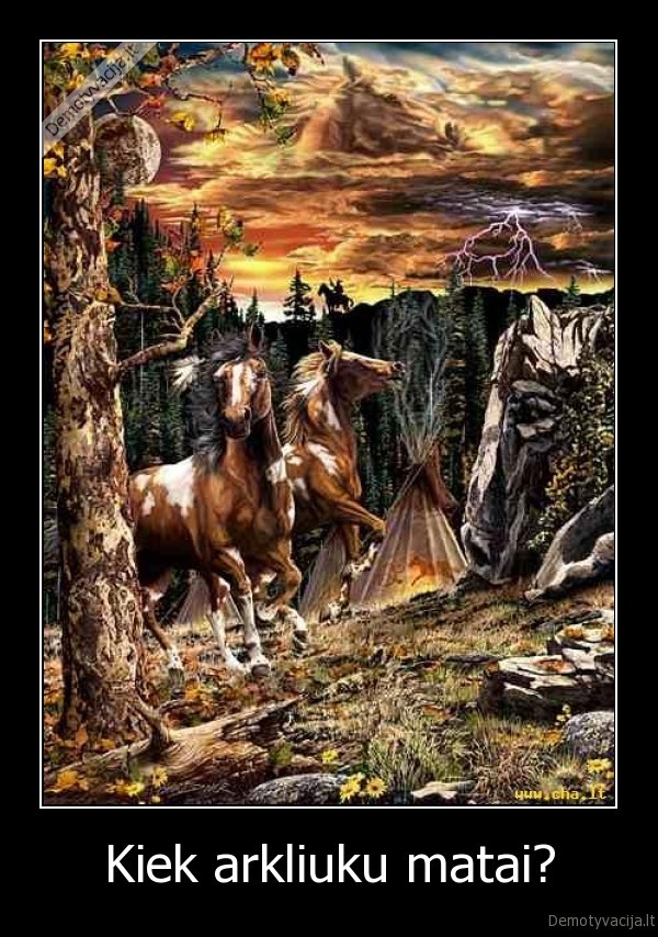 Kiek arkliuku matai?