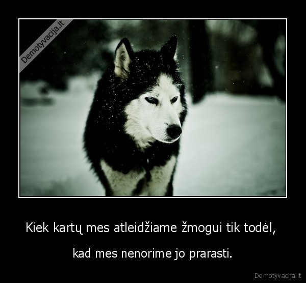 Kiek kartų mes atleidžiame žmogui tik todėl, 