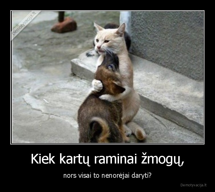 raminti,zmogus,draugyste,kate,suo