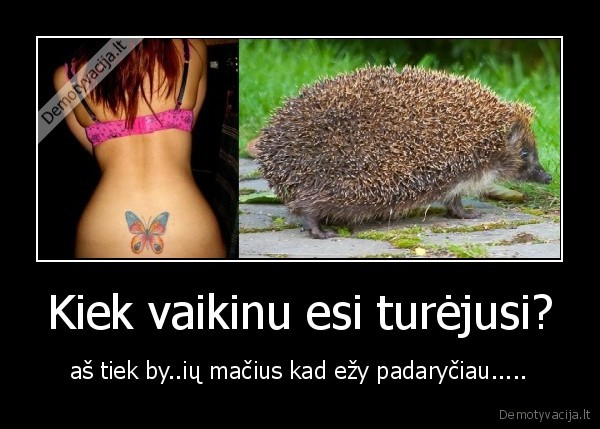 Kiek vaikinu esi turėjusi?