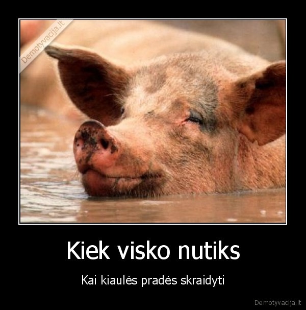 greiciau, kiaules, prades, skraidyti,nei, patvirtins, sia, demo