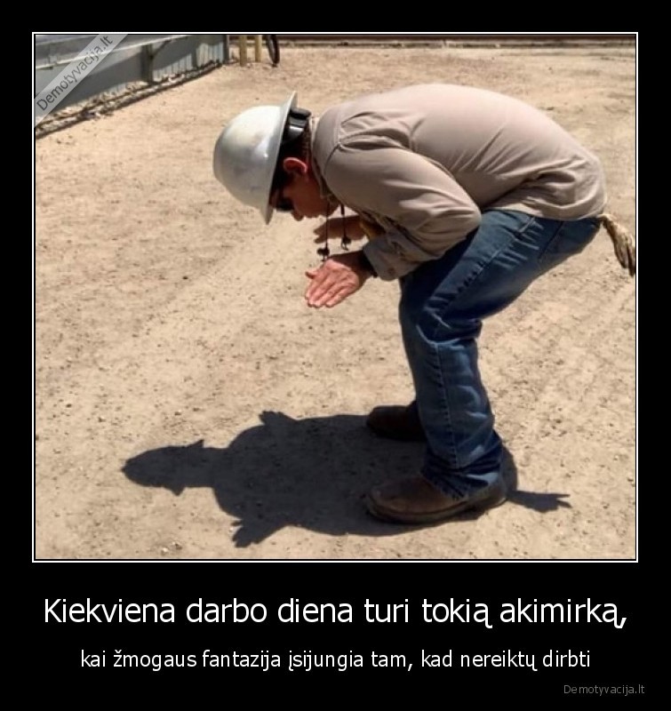 fantazija,darbas,vezlys