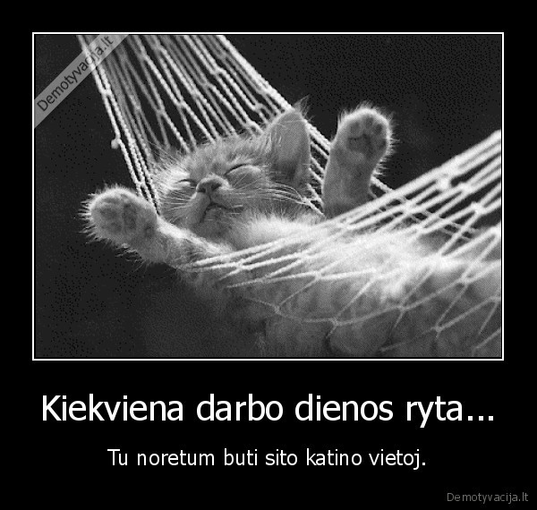 Kiekviena darbo dienos ryta...