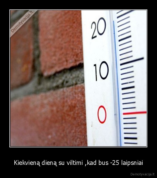 Kiekvieną dieną su viltimi ,kad bus -25 laipsniai