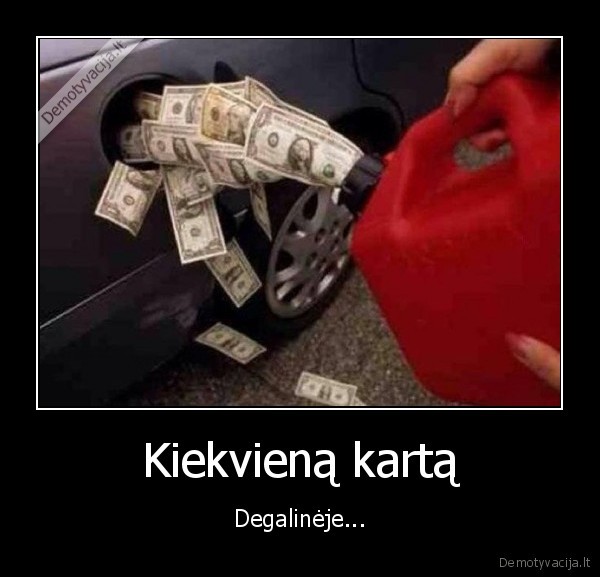 pila, kura,pinigai, i, baka