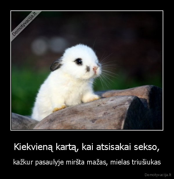 Kiekvieną kartą, kai atsisakai sekso,