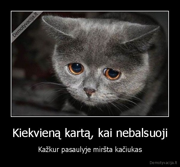 kaciukai,balsavimas, 2014,prezidento, rinkimai