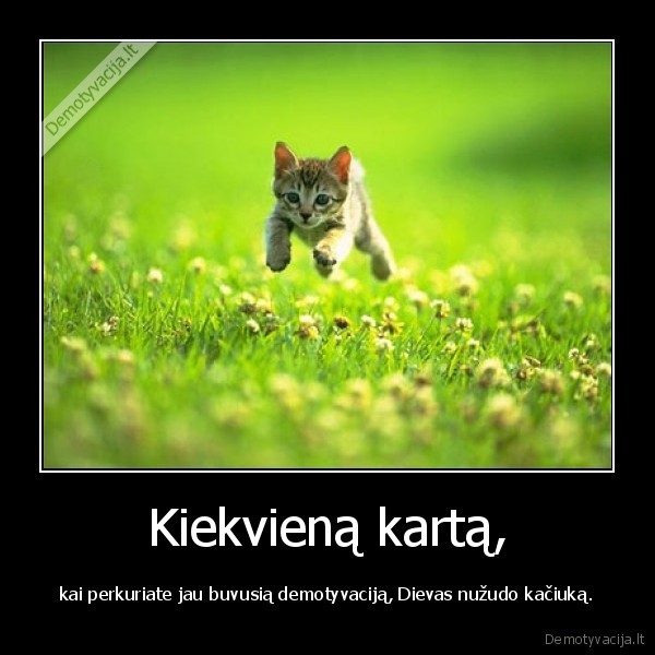 nu, nekurkit, tu, paciu, demo