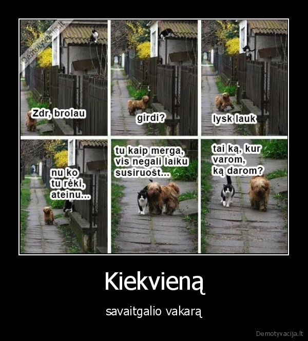 draugai,vakaras,savaitgalis