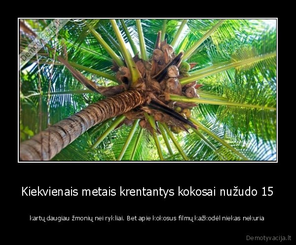 kokosai, zudikai,baisu,medis