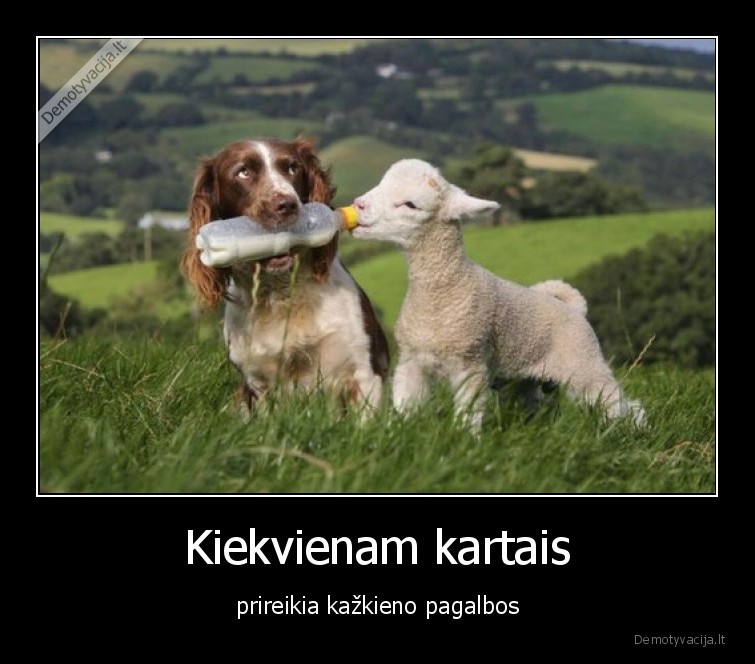 pagalba,suo,avinelis,reikia