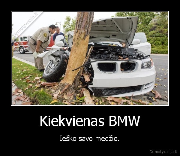 Kiekvienas BMW