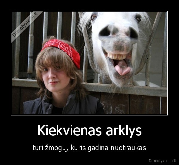 Kiekvienas arklys