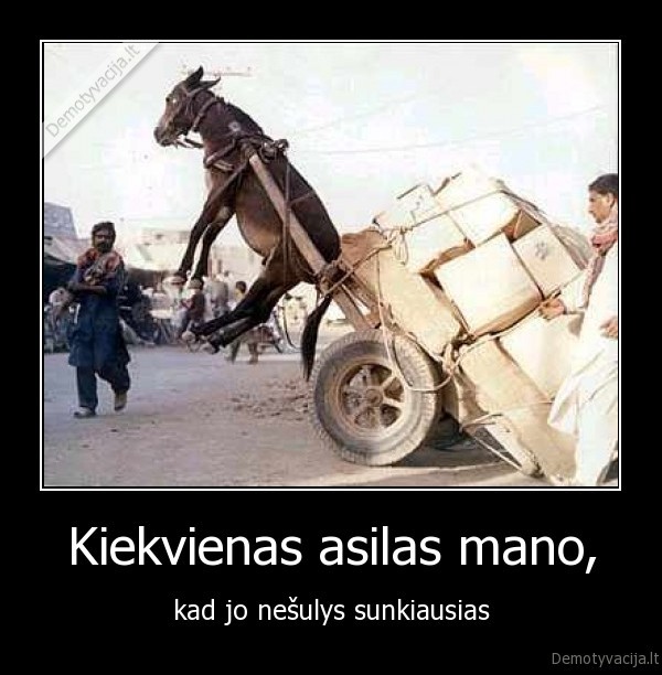 asilas,ismintis,nesulys