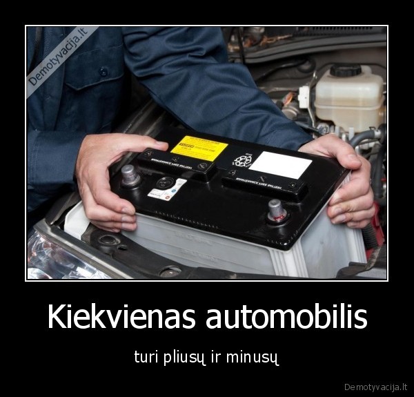automobilis,pliusai,minusai