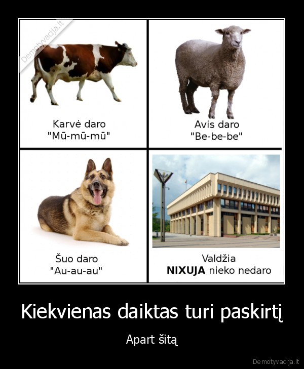 Kiekvienas daiktas turi paskirtį