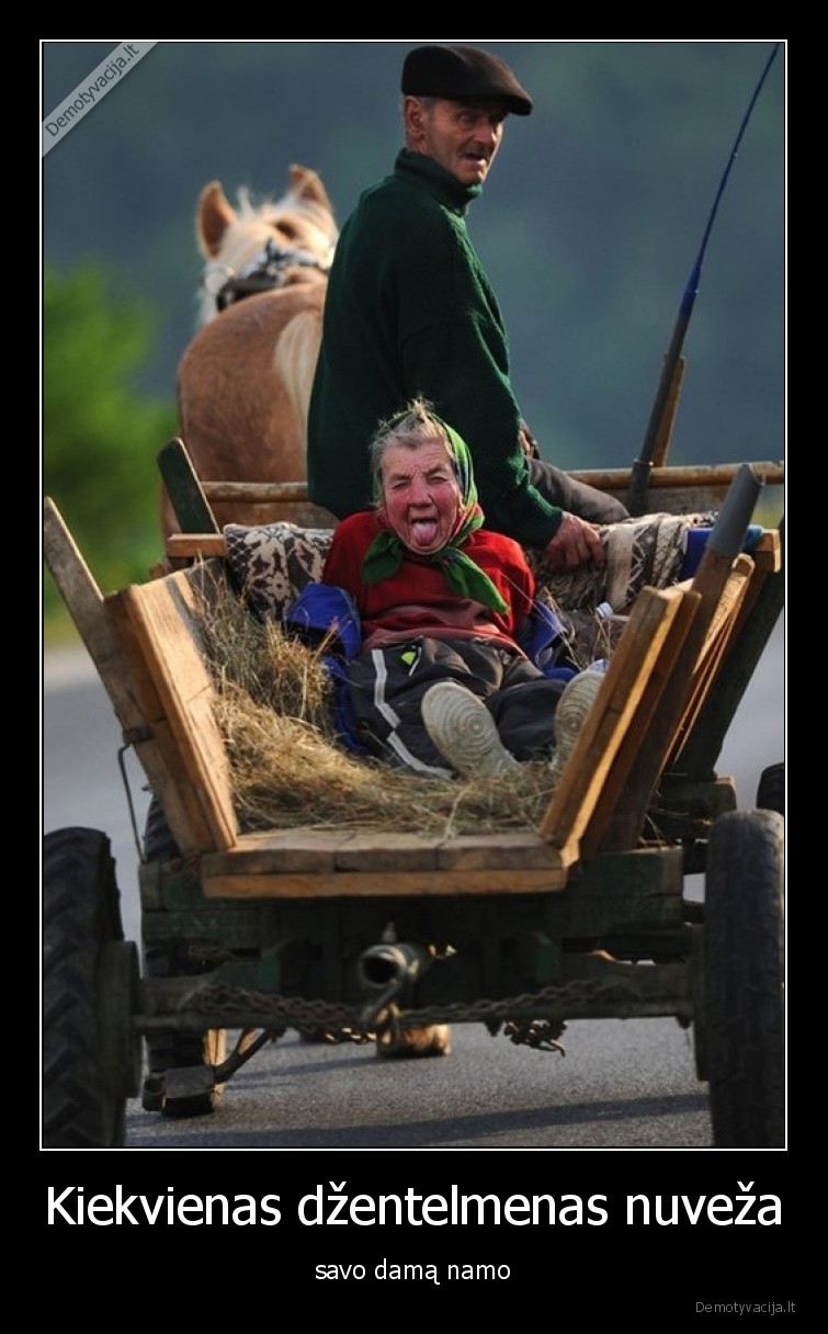 dzentelmenas,nuveza,namo,dama