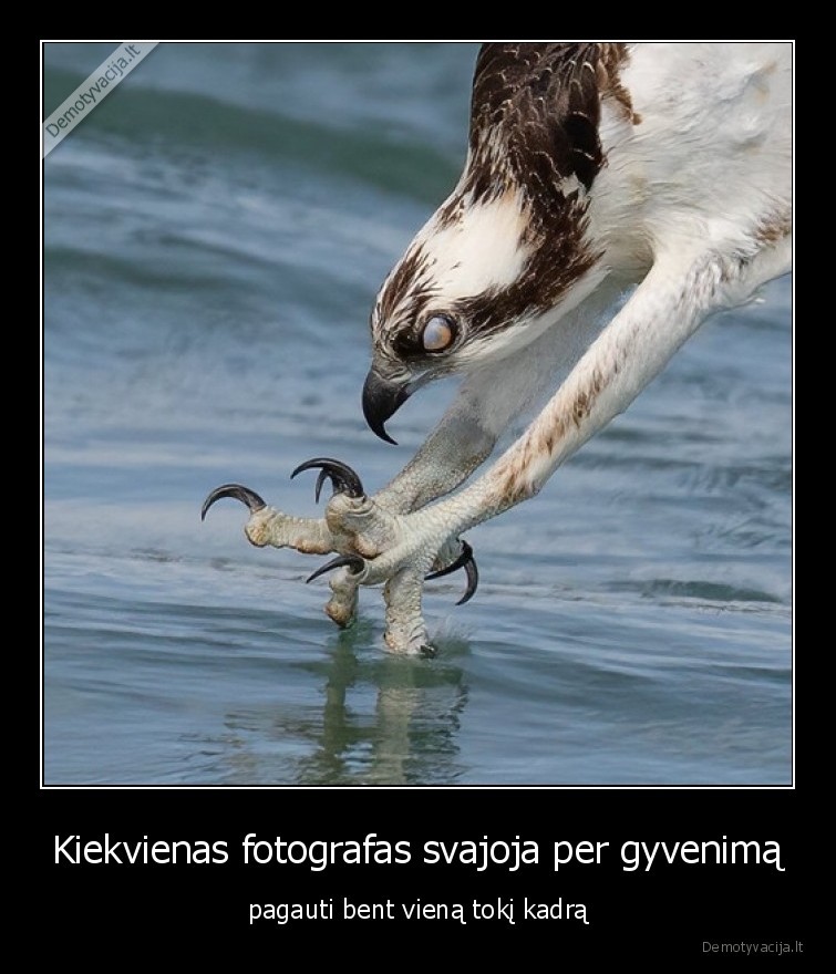 fotografija,nuotrauka,menas