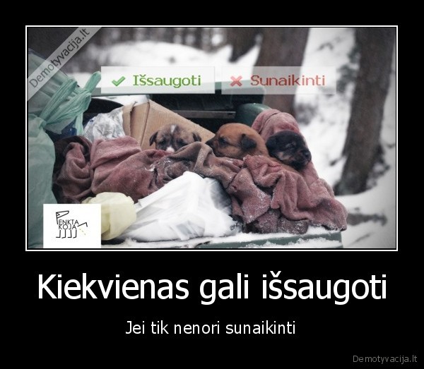 suo,beglobiai,penkta, koja,rupestis