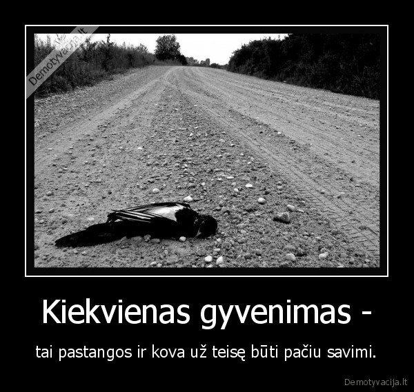 gyvenimas,jo, prasme