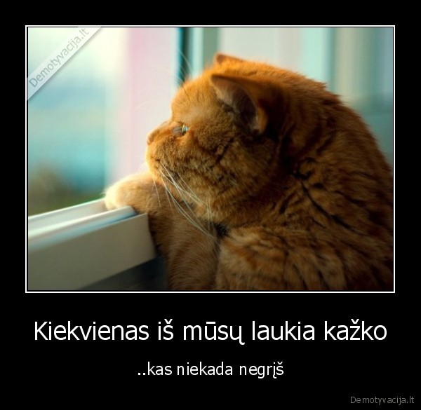 Kiekvienas iš mūsų laukia kažko