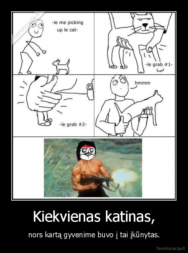 Kiekvienas katinas,