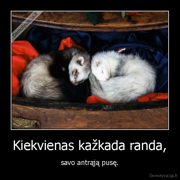 meile,gyvenimas,romantika