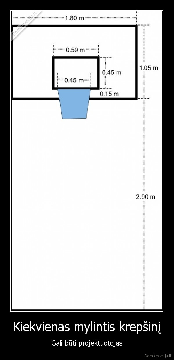 krepsinis,projektas,lietuva