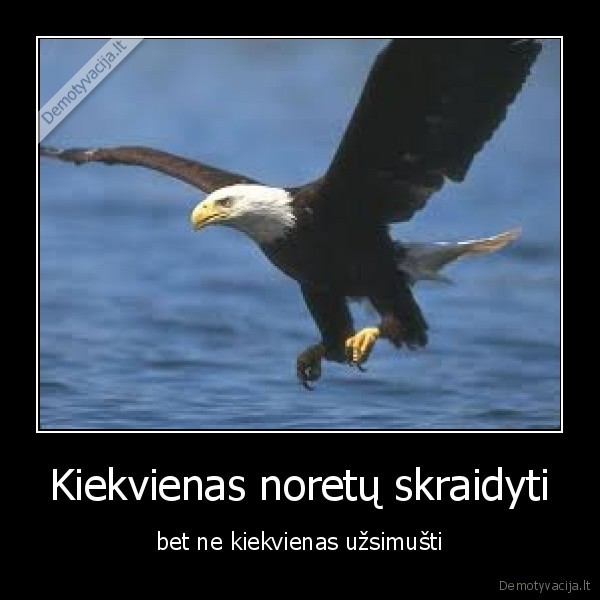 Kiekvienas noretų skraidyti