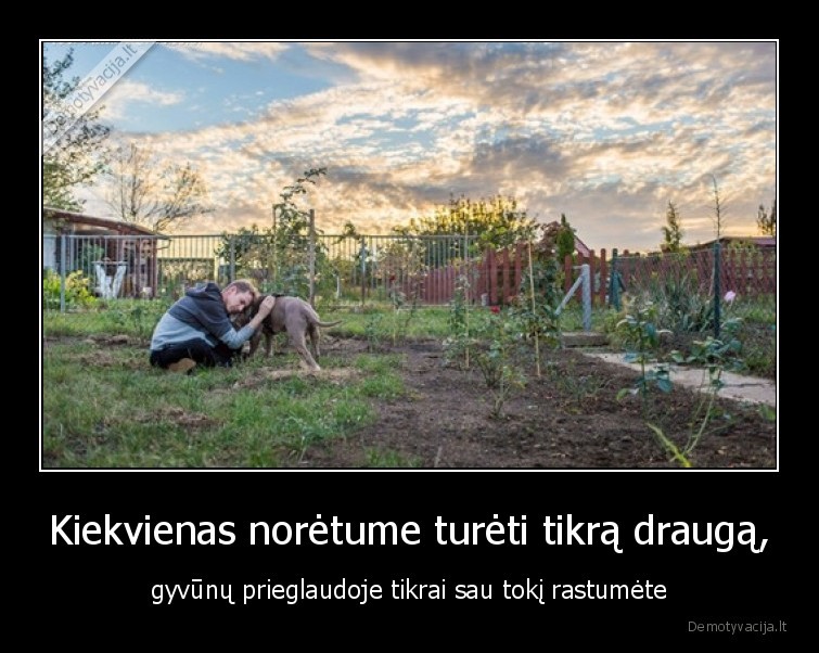 gyvunai,prieglauda,draugas,tikras,draugyste