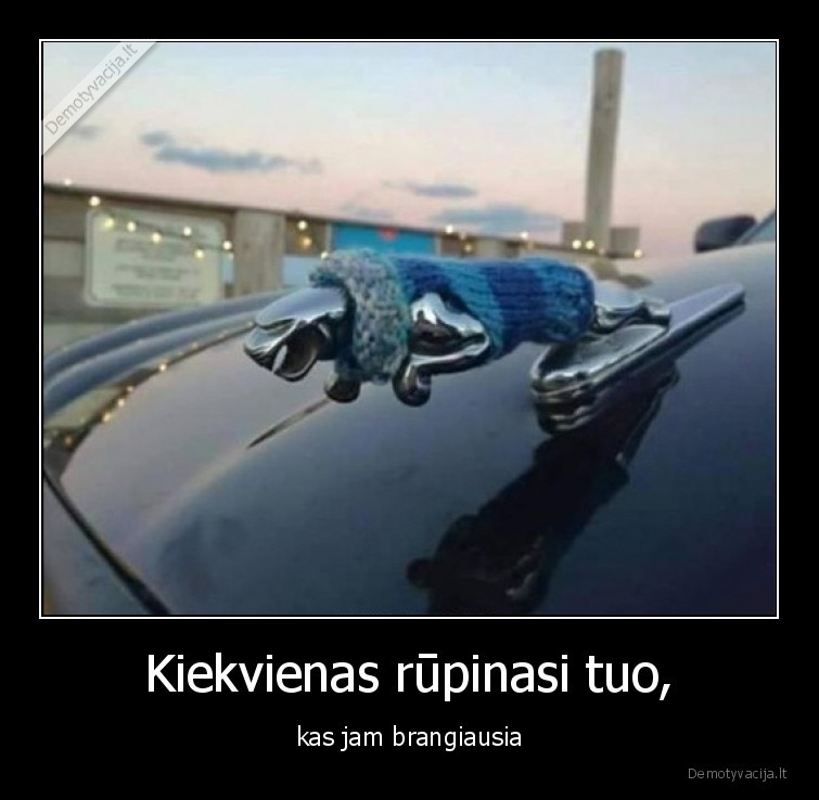jaguar,rupintis,saugoti,megztinis