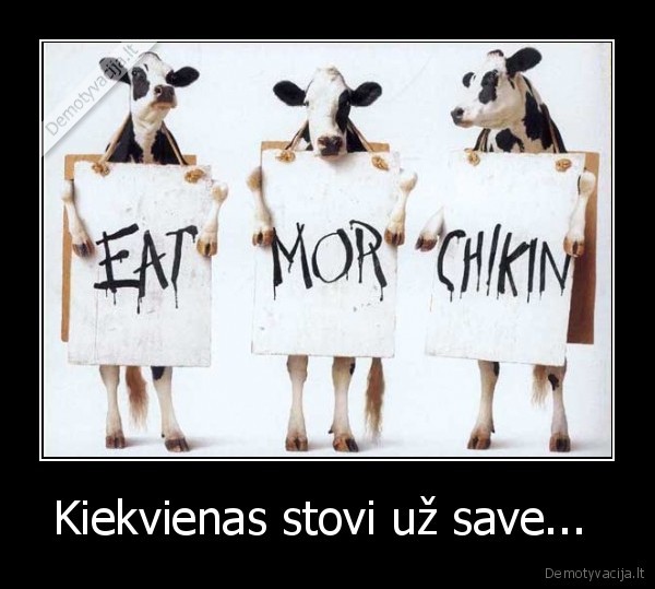 Kiekvienas stovi už save... 