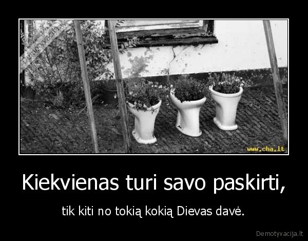 Kiekvienas turi savo paskirti,