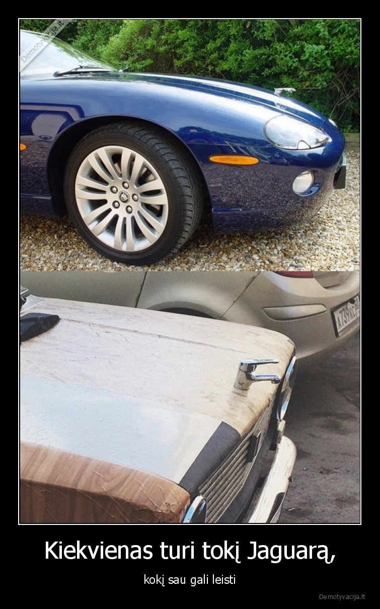 jaguar,masina,ciaupas
