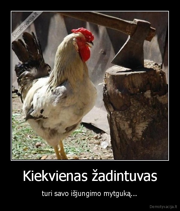 zadintuvas,gaidys,zadinti