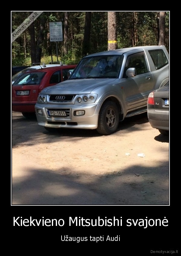 audi, dzipas,mitsubishi, dzipas,visureigis