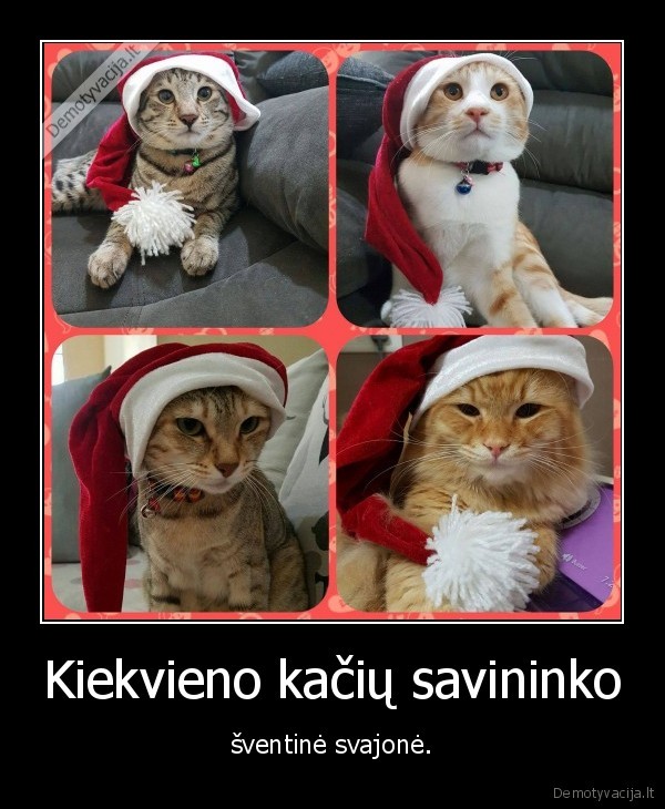 miela, kate,sventiska, kate,svjaone,kepure