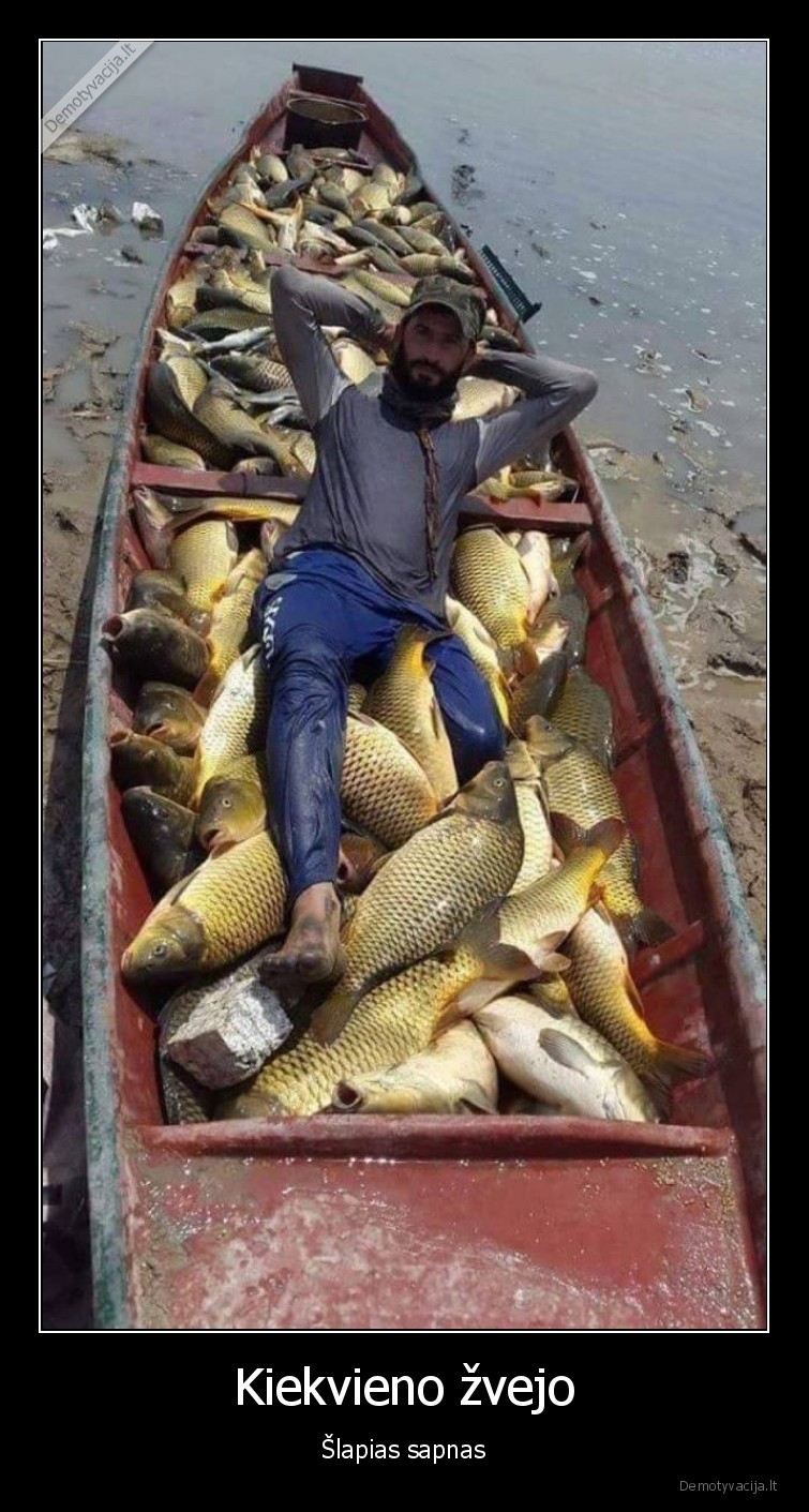 karpiai,zuvys