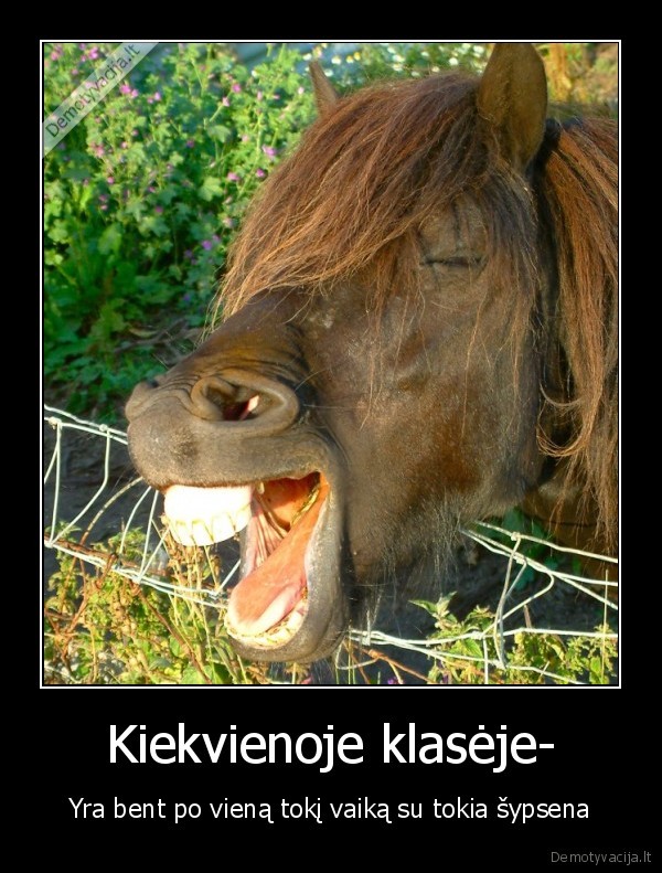 Kiekvienoje klasėje-