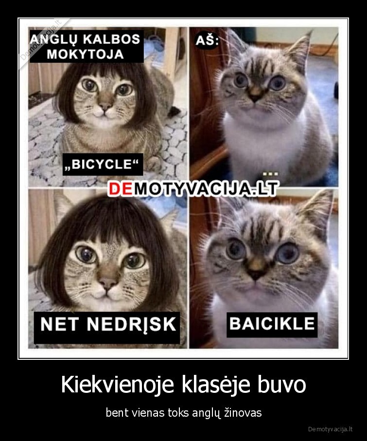 anglu,kalba,katinai,katukai,bicycle,tartis
