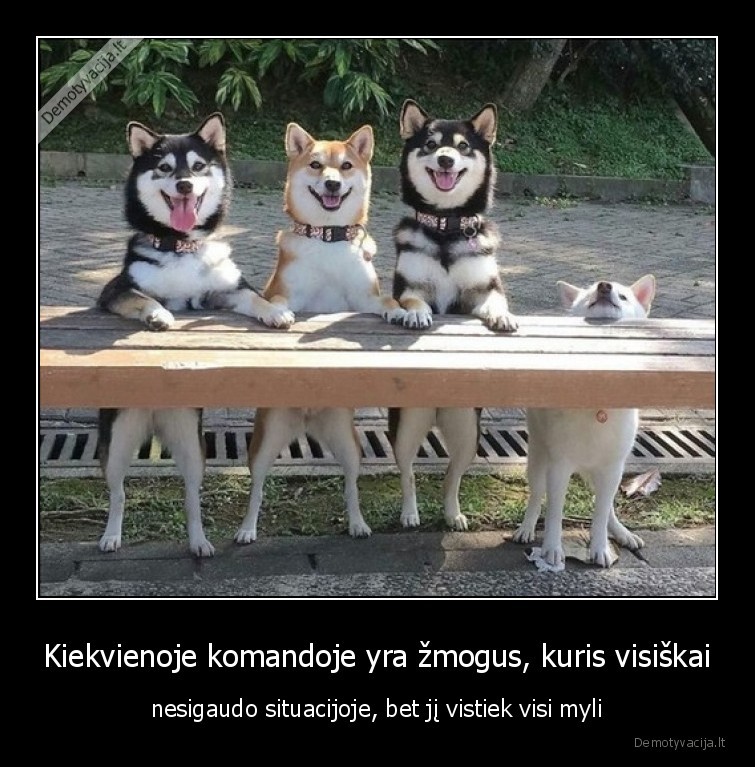 sunys,situacija,komanda