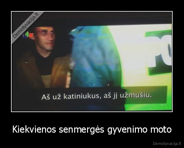 kate,katiniukai,senmerge,katiniukas,katinas