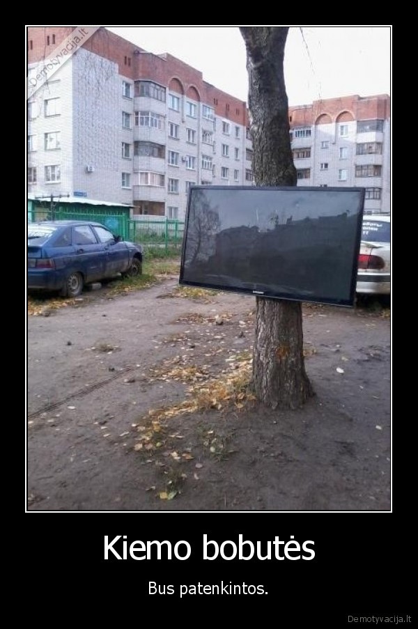 televizorius,medis,kiemas,lcd