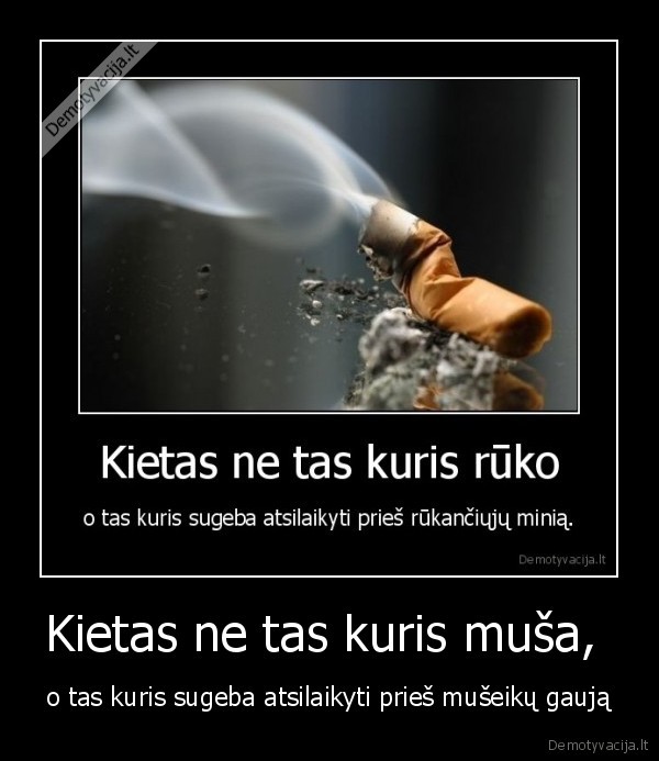 gaga, lady, sportas, menas, muzika, prikolas