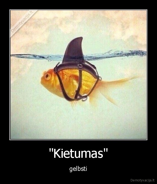 "Kietumas"