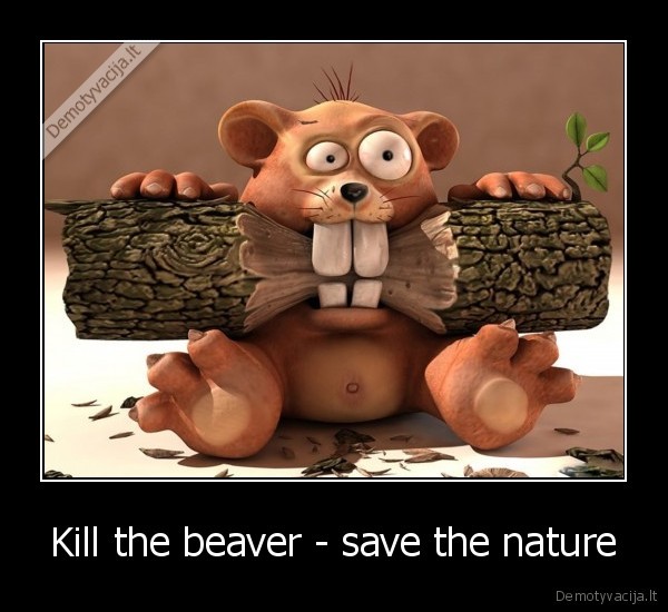 Kill the beaver - save the nature