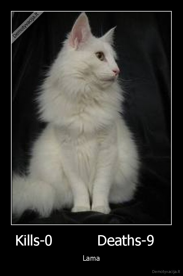 Kills-0          Deaths-9   