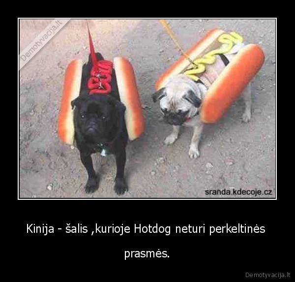 hotdog,kinija