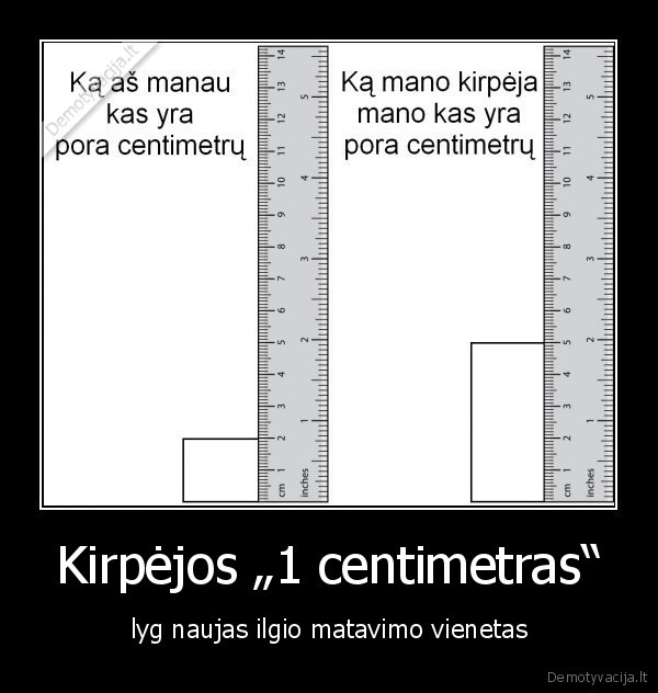 Kirpėjos „1 centimetras“